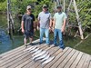 (07/04/2025) - Nice Striped Bass