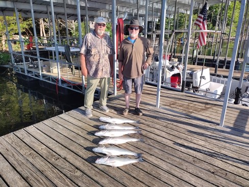 Nice Striped Bass