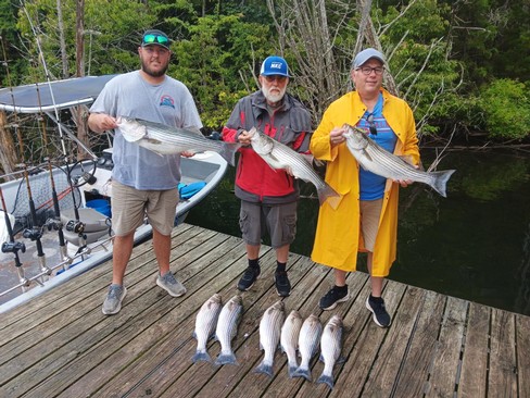 Nice Striped Bass