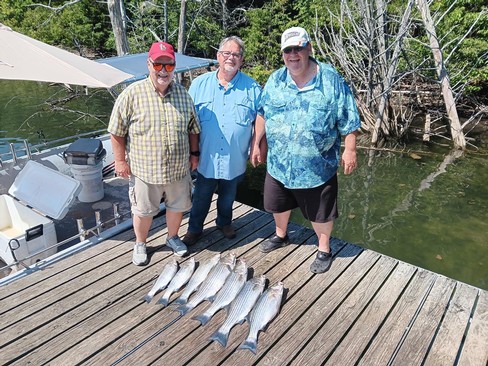 Nice Striped Bass