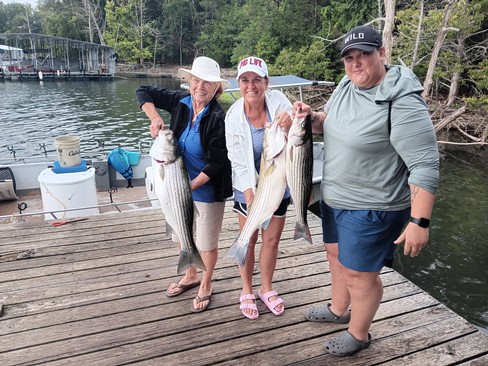 Nice Striped Bass