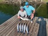 (08/09/2025) - Nice Striped Bass