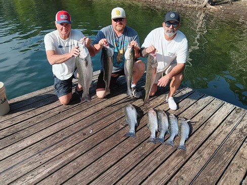 Nice Striped Bass