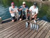(08/20/2025) - Nice Striped Bass