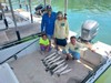 (07/02/2023) - Nice Striped Bass