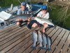 (08/14/2025) - Nice Striped Bass