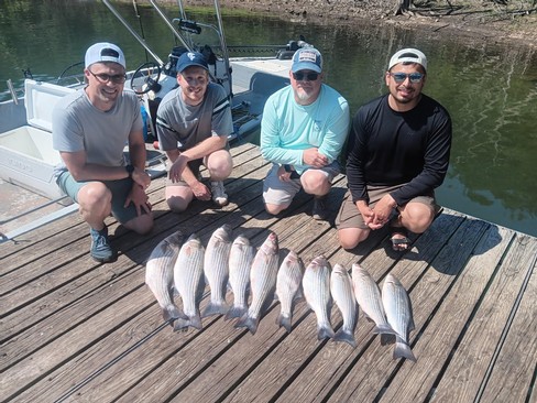 Nice Striped Bass