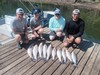(08/22/2025) - Nice Striped Bass