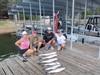 (08/23/2025) - Nice Striped Bass