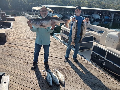 Nice Striped Bass
