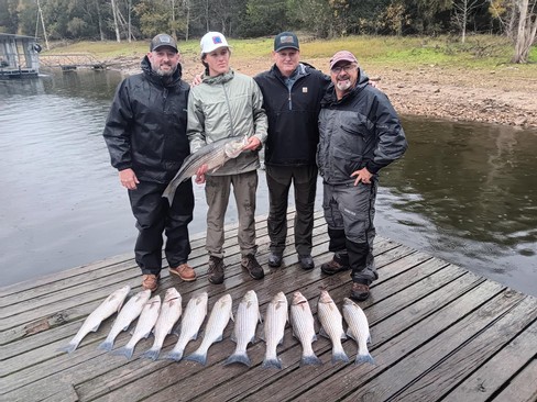 Nice Striped Bass