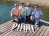 (10/16/2025) - Nice Striped Bass