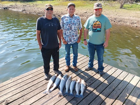 Nice Striped Bass