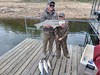 (03/26/2026) - Nice Striped Bass