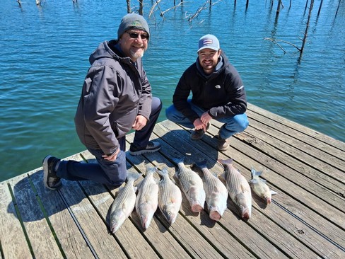 Nice Striped Bass