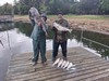 (04/15/2026) - Nice Striped Bass