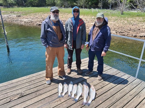 Nice Striped Bass