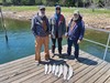 (04/21/2026) - Nice Striped Bass