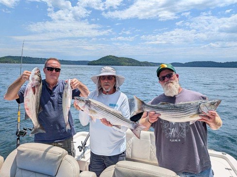 Nice Striped Bass