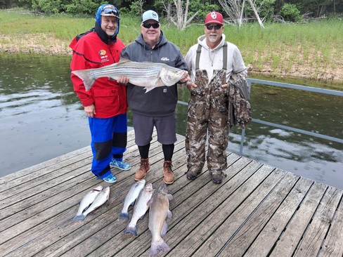 Nice Striped Bass