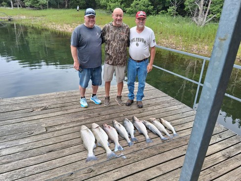 Nice Striped Bass