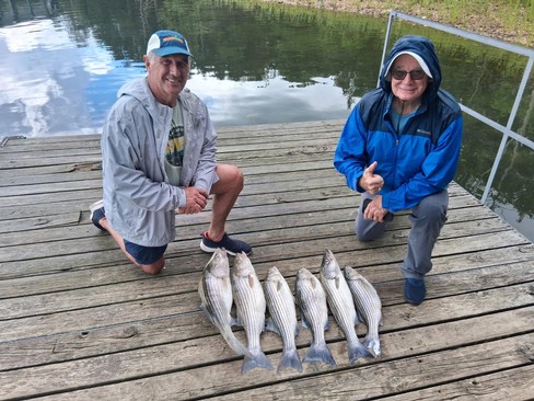 Nice Striped Bass