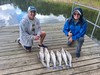 (05/29/2026) - Nice Striped Bass
