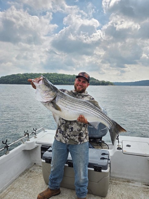 Nice Striped Bass