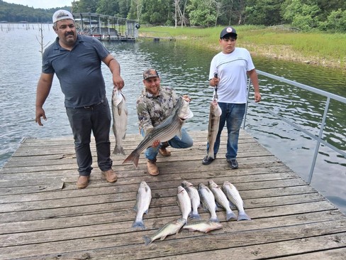 Nice Striped Bass
