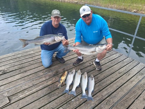 Nice Striped Bass