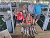 (06/12/2026) - Nice Striped Bass