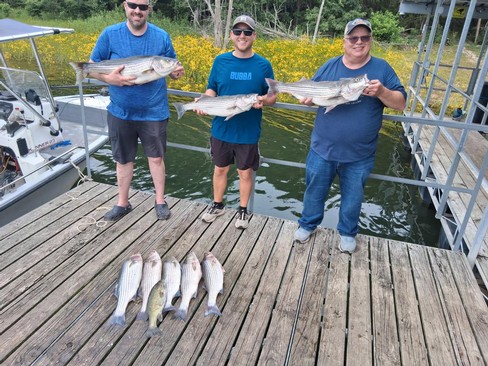 Nice Striped Bass