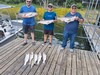 (06/13/2026) - Nice Striped Bass