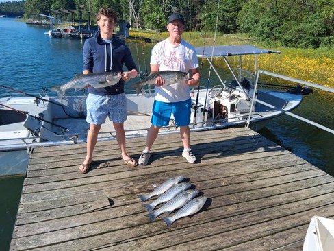 Nice Striped Bass