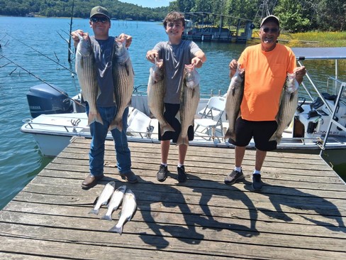 Nice Striped Bass
