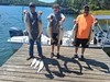 (06/20/2026) - Nice Striped Bass