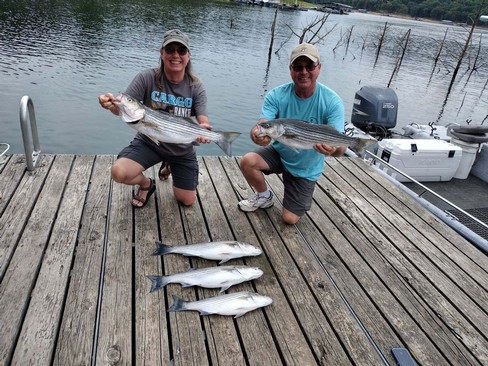 Nice Striped Bass