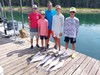 (07/24/2023) - Nice Striped Bass