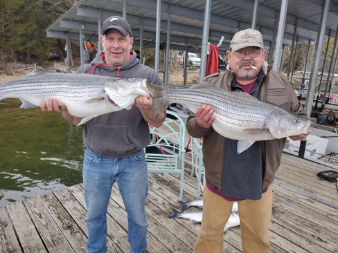 Nice Striped Bass