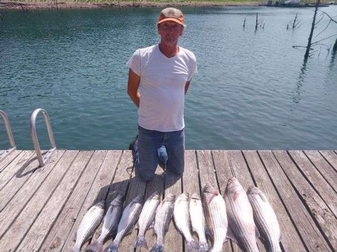 Nice Striped Bass