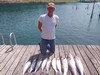 (08/02/2023) - Nice Striped Bass