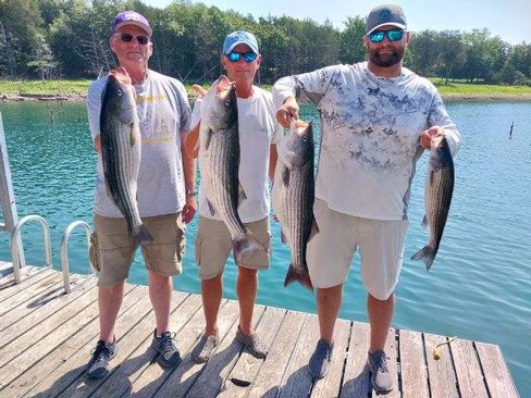 Nice Striped Bass