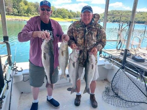 Nice Striped Bass