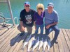 (08/16/2023) - Nice Striped Bass
