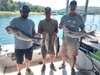 (08/19/2023) - Nice Striped Bass