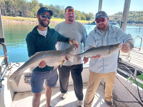 Nice Striped Bass