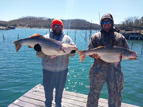 Nice Striped Bass