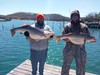 (03/27/2024) - Nice Striped Bass