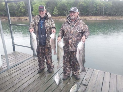 Nice Striped Bass