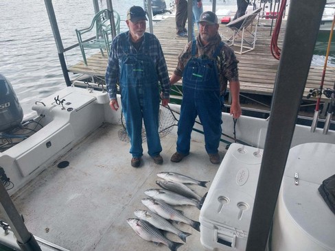 Nice Striped Bass